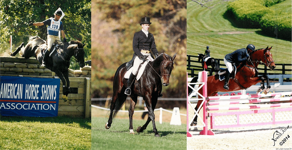 Blue Ridge Farm Sport Horses