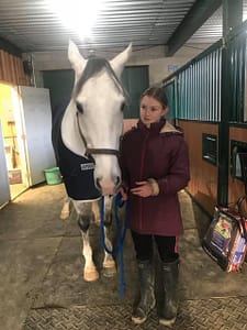Sport Horse Sales