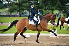 Dressage Silver Medal