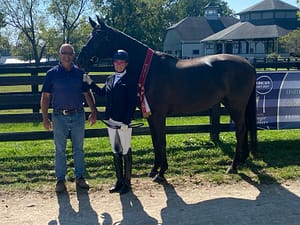 Farrel - Winning imported Hanoverian gelding