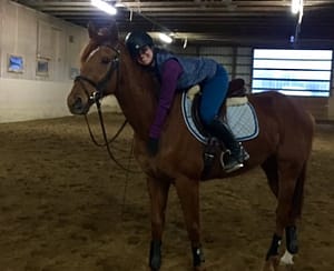 Cleveland Horse Sales
