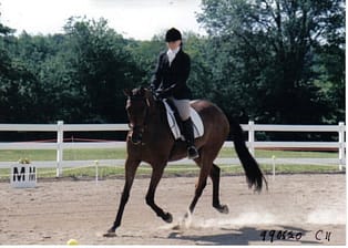 Blue Ridge Farm Instructor Dressage