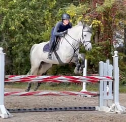 Sullivan-Blue Ridge Farm Sold Horse