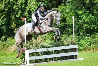 Wesley-Blue Ridge Farm Sold Horse