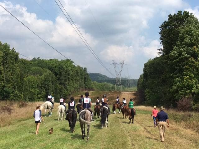 Bath Pony Club Mini Trial  