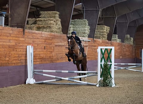 Blue Ridge Farm Chagrin Schooling Jump Show