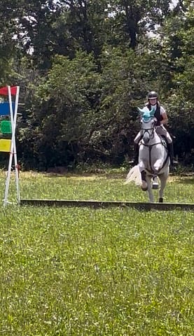 BlueRidgeFarm_Hinkley_Tully4